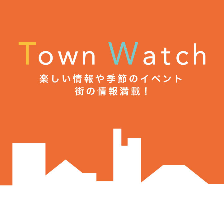 Town Watch