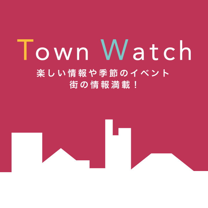 Town Watch