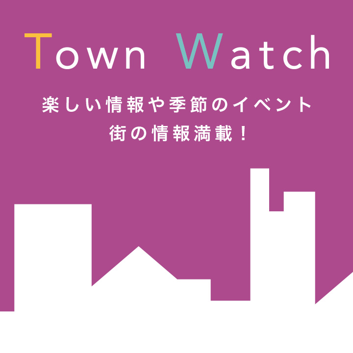 Town Watch