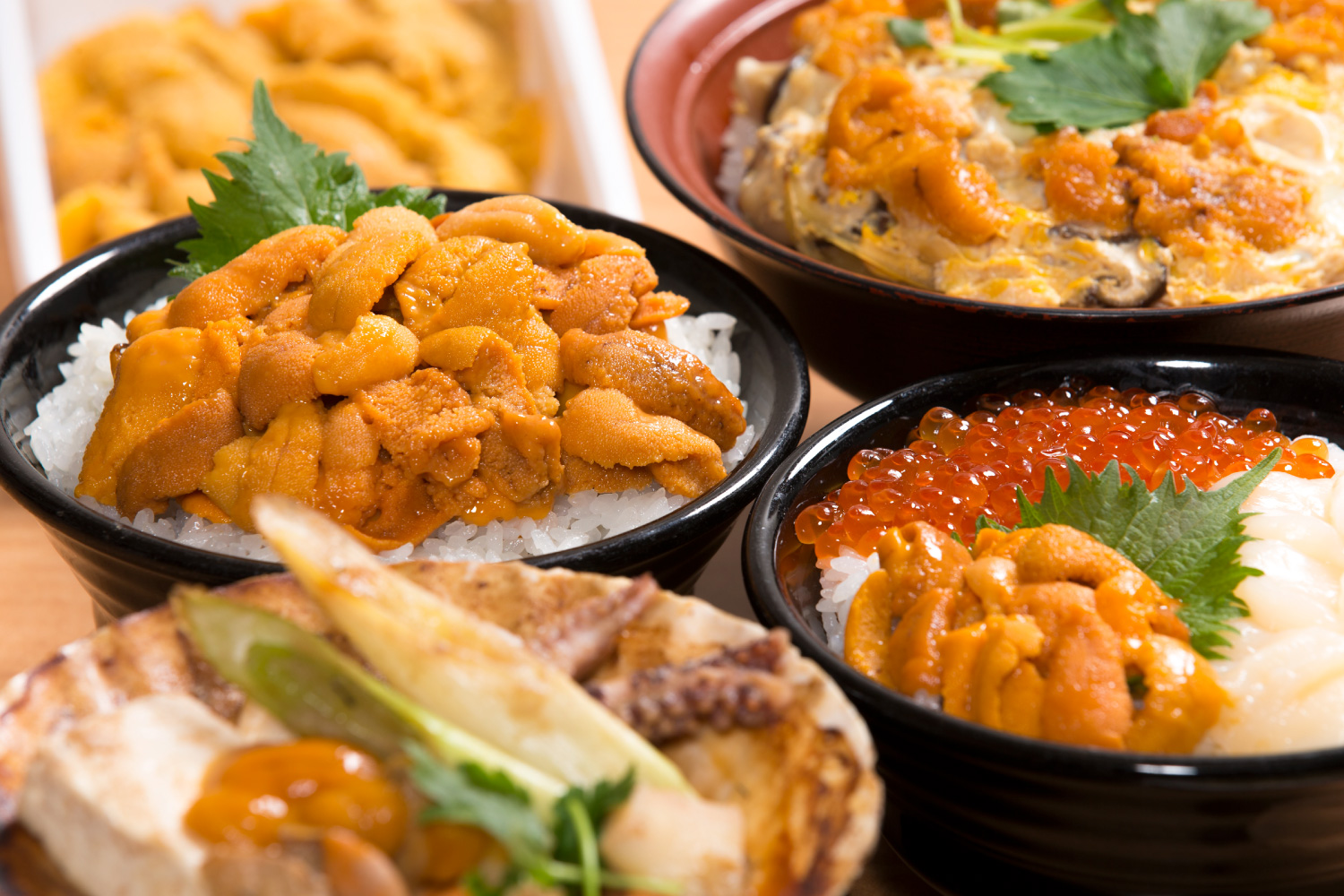 濃厚な旬の旨味を丼で！ うにうにフェア