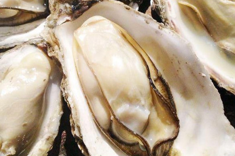 当店名物!<br />
鮮度バツグンの牡蠣料理をどうぞ!