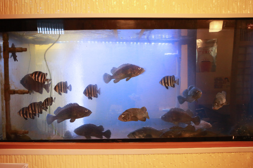 生簀から直送!<br />
鮮度抜群の魚介類をどうぞ